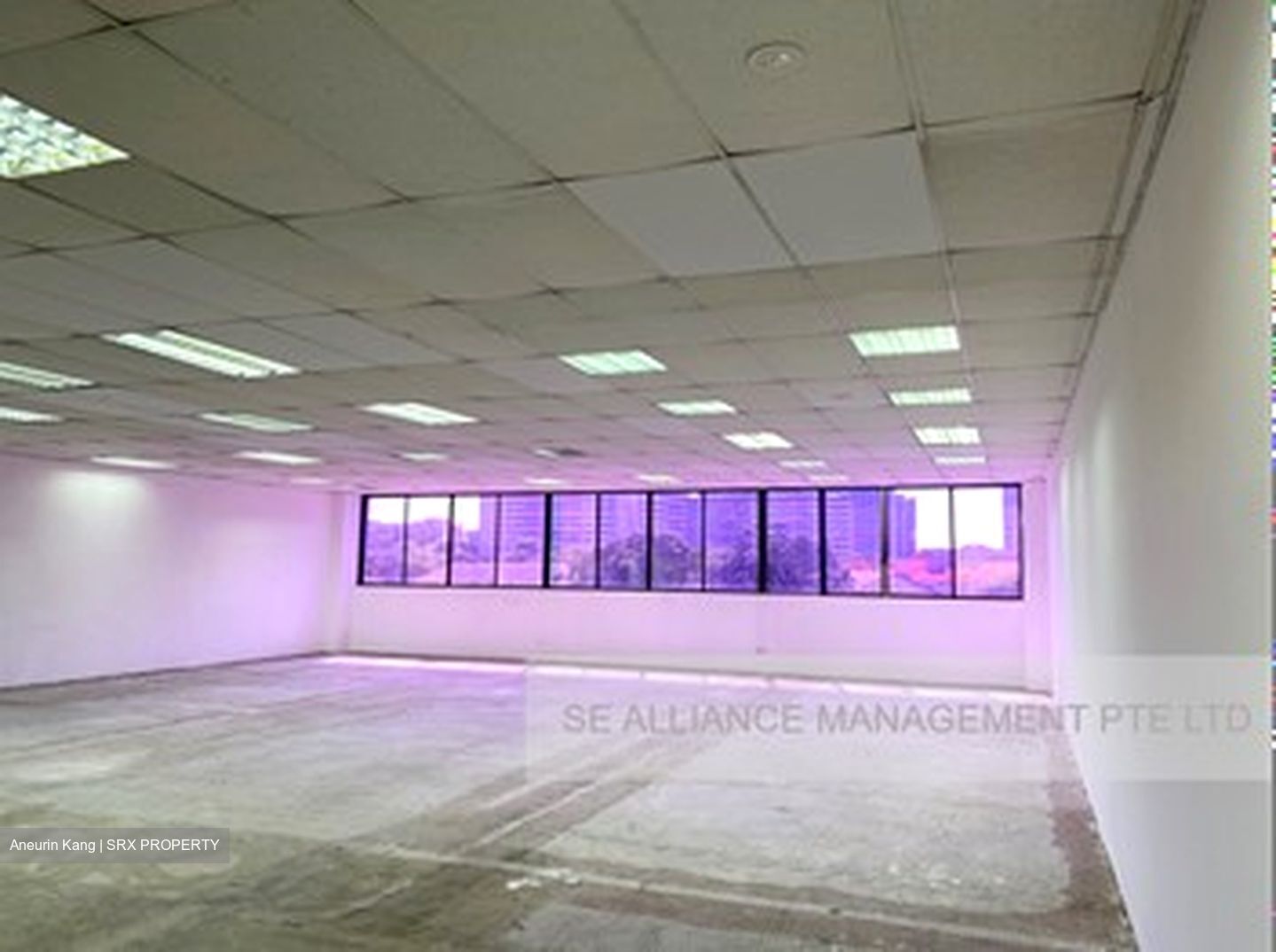 Geylang Bahru (D12), Office #383512001